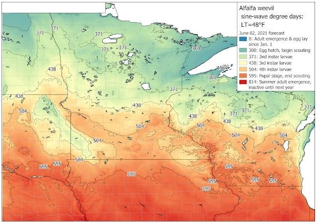 Alfalfa Harvest and Alfalfa Weevil Mangement